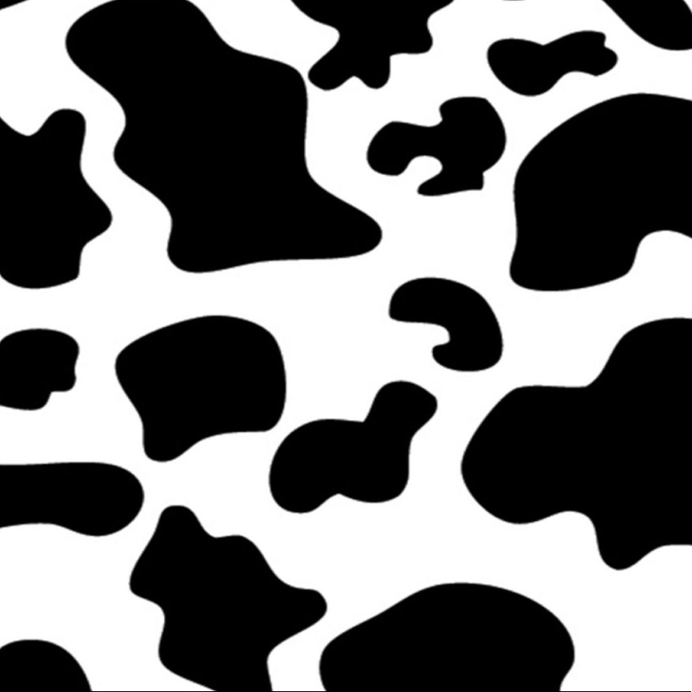 Meet your Posher, Ally